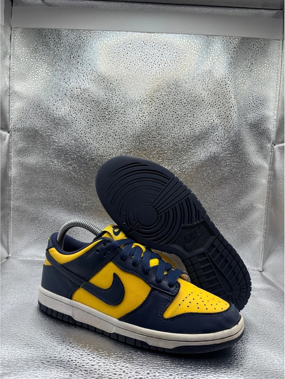 Nike dunk low Michigan GS